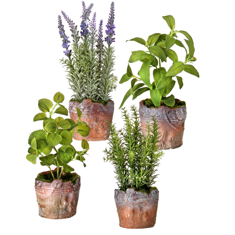 Ophelia & Co. 4 Artificial Herbs Plant in Pot Set & Reviews Wayfair